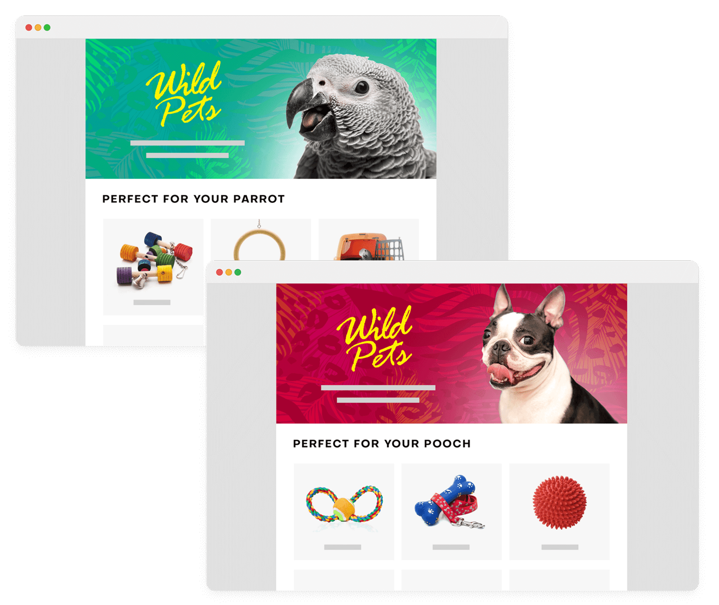 Smart images and content personalization showing segment-based email variations